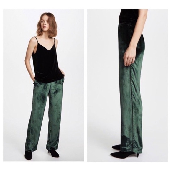 J BRAND Ardon Pull-On Elastic Waist Wide Leg Velvet Pants | Size Medium - Picture 3 of 8